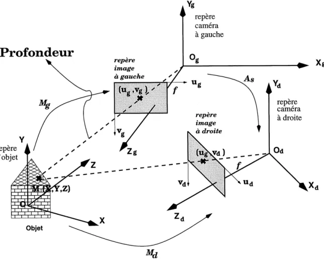 Figure 1.5 - Estimation de la profondeur en utilisant une camera a gauche et une camera a droite.