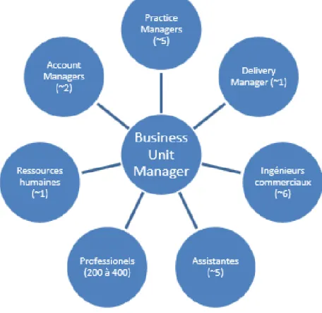 Figure 1 - ressources d'une Business Unit 