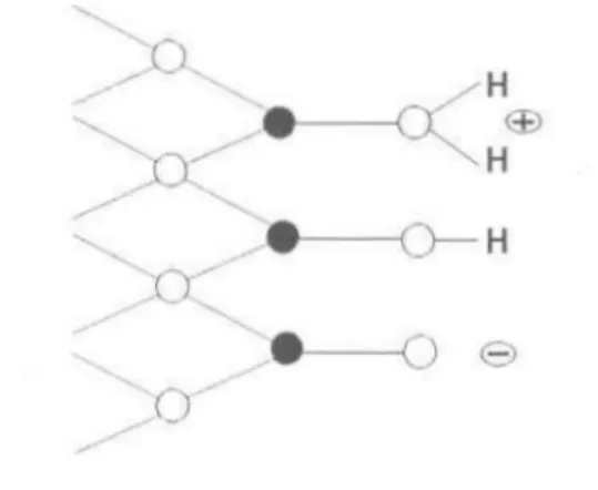 Figure 2.1:  Surface d'un oxyhydroxyde de fer couverte de groupements hydroxyles amphotères; 