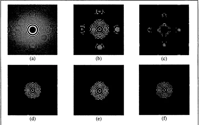 Figure 8: The circular zoneplate image scaled down and edge map. (a) Original image (b)  Our algorithm (c) Nearest neighbour (d) Bilinear interpolation (e) Bicubic interpolation (f)  Winscale