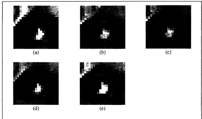 Figure 9: Aliasing on the right eye after scaling up by 5/2. (a) Our algorithm (b) Nearest  neighbour (c) Bilinear interpolation (d) Bicubic interpolation (e) Winscale