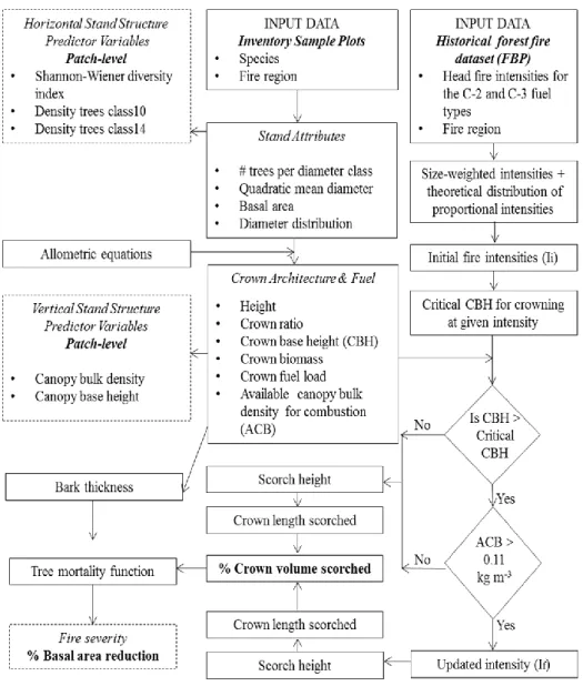 Figure 2. Flow diagram of the fire severity model, relating geographically stratified samples  of  initial  fire  intensities  and  forest  patch  diameter  distributions  to  perform  the  simulation  experiment
