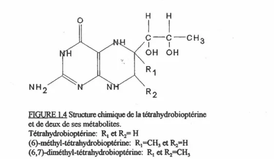 FIGURE  1.4  Structure clùmique  de la  téarahydrobioptérine  et de deux de ses métabolites