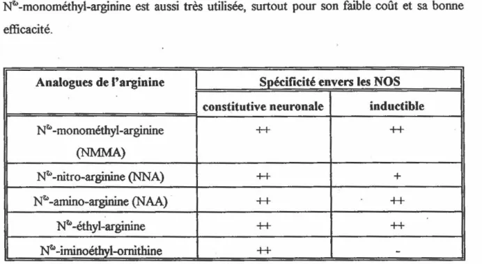TABLEAU 1.4  Les  analogues de  l'arginine  les  plus  fréquenunent utilisés comme  inhibiteur  de  la  NOS