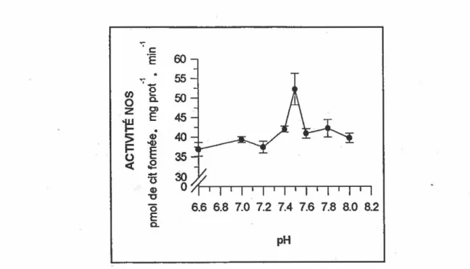 FIGURE  3.1.  Effet  du  pH .  sur  l'activité  NOS  dans  un  surnageant de cerveau de ebat