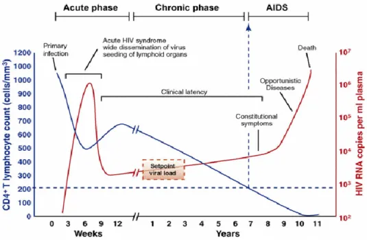 Figure 7 : Évolution typique de l’infection à VIH   Figure tirée de [95] 