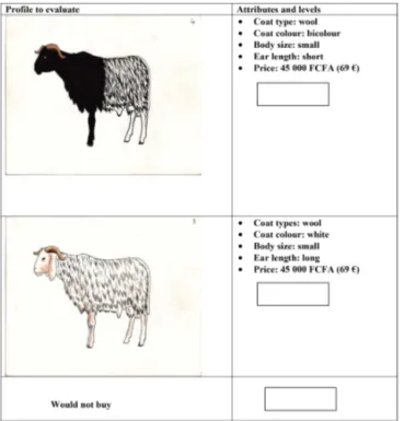 Figure 2. Example of pairwise comparison choice card source, il- il-lustrated by a local artist