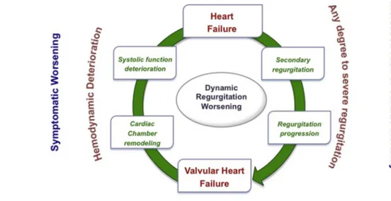 Fig. 1. Vicious cycle associated with secondary regurgitation in heart failure (HF). Secondary regurgitation pro- pro-gression contributes to a cascade of events progressing to poor prognosis