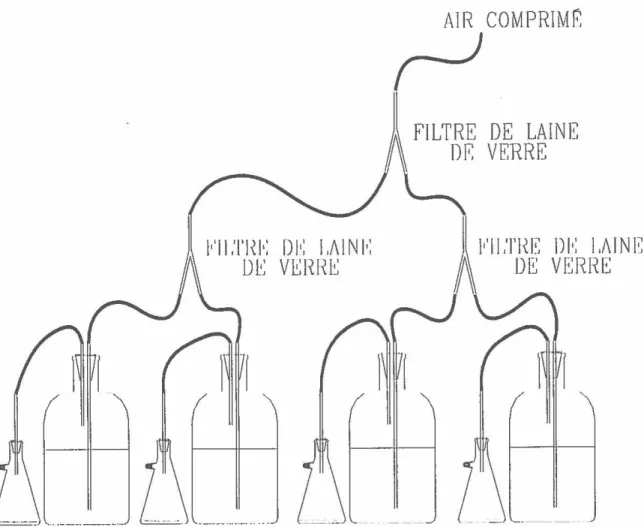 Figure  4.  Schéma du montage des réacteurs de  4  L  utilisés pour générer  de fortes  densités de biomasse algale 