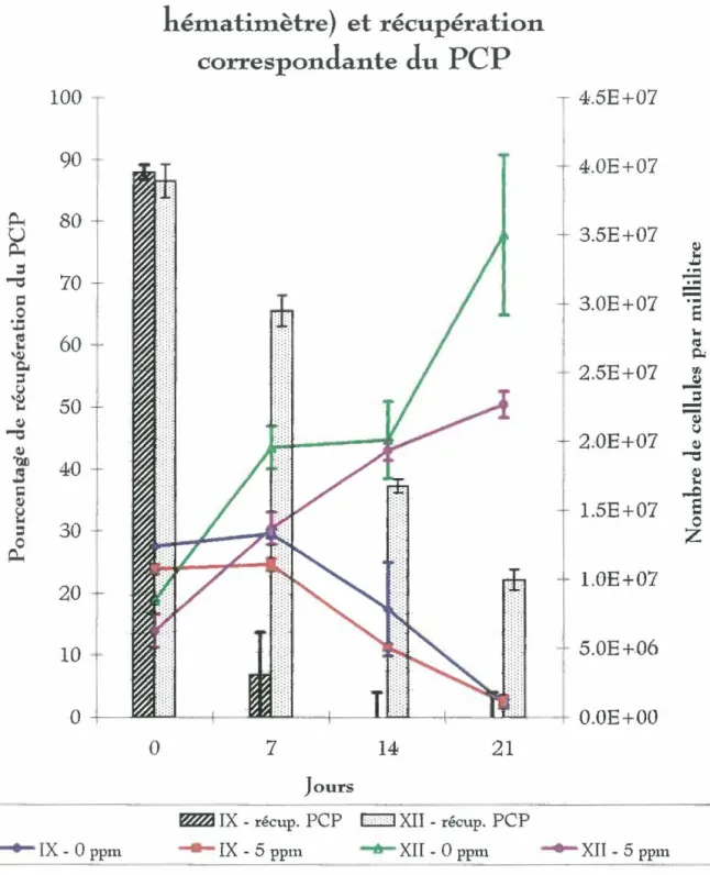 Figure 6.  Croissance  de  Scenedesmus ob/iquus Jans les essais PCP IX et PCP XII  ainsi que la récupération du pentachlorophénol correspondante 