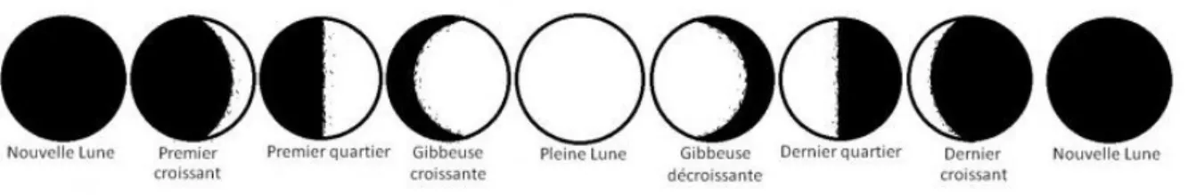 Figure  10 :  schéma  d’un  cycle  lunaire  représentant  les  phases  de  la  lune.  Source :  Société  Astronomique  de  Liège, http://www.societeastronomique.ulg.ac.be/astronomie-pratique/articles/le-cycle-de-la-lune/
