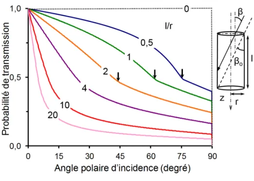 Figure 4.7  Probabilité de transmission en fonction de l’angle polaire d’incidence pour un tube 
