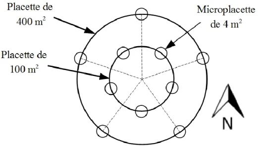 Figure  4 :  Disposition  des  placettes  et  microplacettes  d’échantillonnage  lors  de  la  campagne  terrain