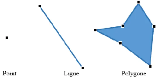 Figure 5 : Les trois grands types de représentation  vectorielle