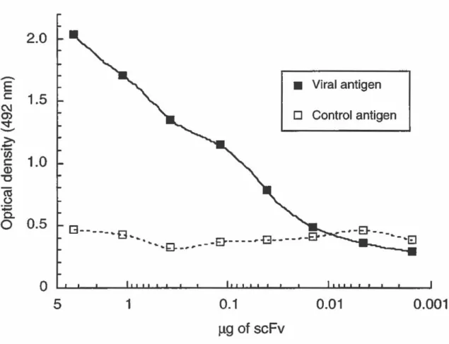 FIGURE  11:  Reactivity of the scFv fragments for MHV antigen. 