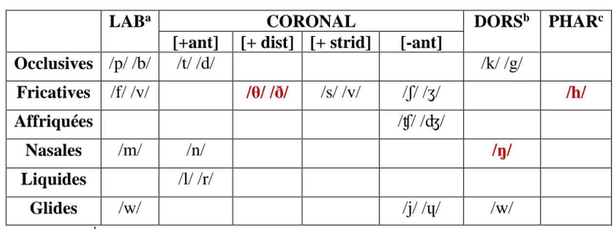 Tableau III  Inventaire consonantique de l’anglais (MacKay, 1987 ; Jensen, 1993) 