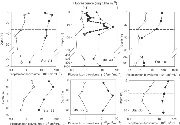 Fig. 1. Depth profiles of picocyanobacteria (open circles) and picoeukaryotes (filled circles) at three deep-water stations in the Beaufort Sea and three shallow-water stations over the Beaufort Shelf