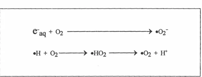 Figure  1 :  Mécanisme  réactionnel  de  l'électron  solvaté  et  du  radical  •H  avec  l'oxygène du  milieu  (Fricke  et Hart,  1966; Ferradini  et Pucheaut,  1983 ; Fridovich,  1983)