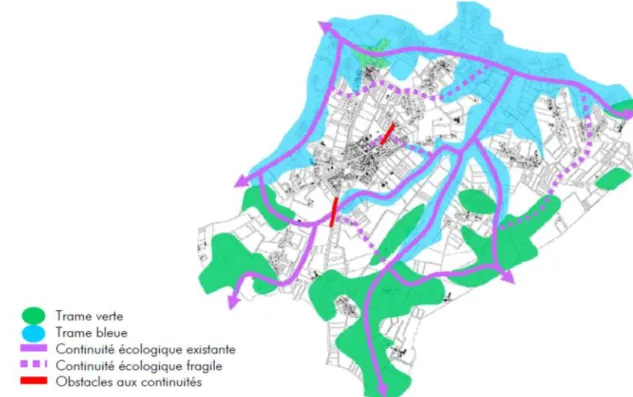 Figure 11 : TVB de Saint-Molf illustrée dans le rapport de présentation du PLU communal actuel  (Source : Commune de St-Molf – EOL, 2013) 