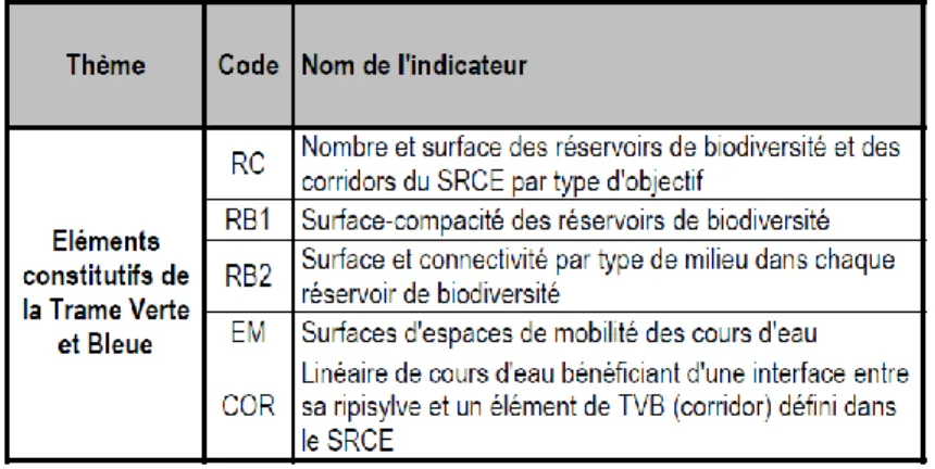 Figure 13 : Description des indicateurs de suivi  