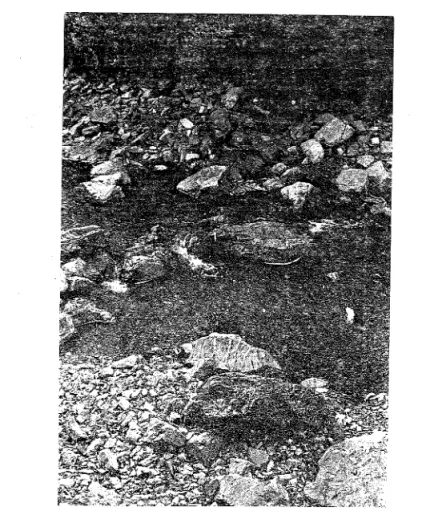 Fig.  1.  -- Lit  de  la  Soor à  395  m  d'altitude.  Photo  prise  le  21  octobre  1968
