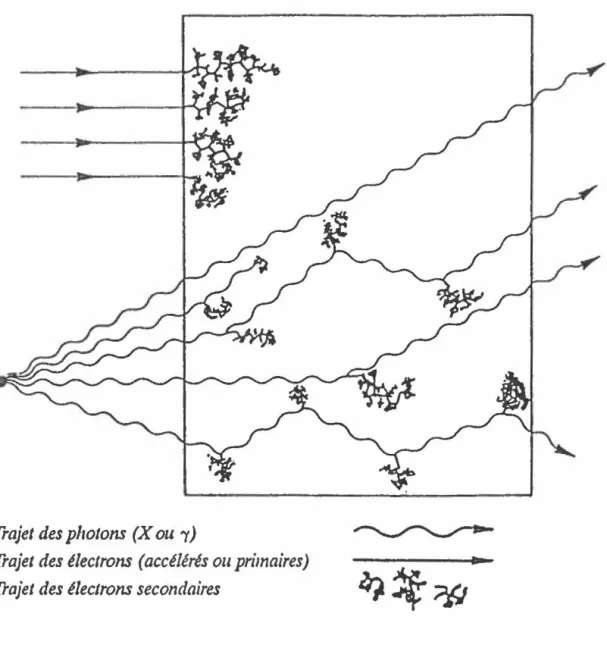 Figure  2  :  Interactions  avec  la  matière 