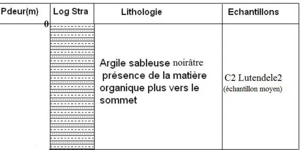 Fig. III.16 : Log lithologique de Lutendele/Mbudi 2.