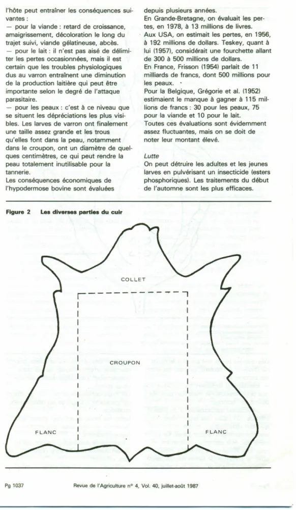 Figure 2 Les diverses parties du cuir