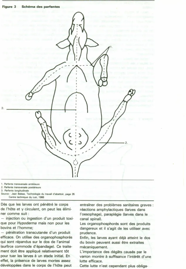 Figure 3 Schéma des partentes 1. ,,-(\-,---,1,,.1 , 1 ,. , 1 1 1 3.