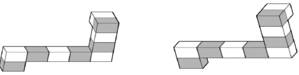 Figure 3.4 – Une paire de formes de la tâche de rotations mentales. Une rotation est effectuée.