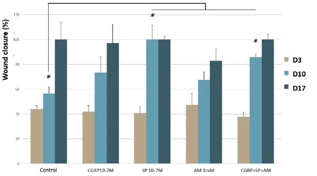 Fig.  5:  Effect  of  CGRP,  SP  and  aminoguanidine  on  wound  closure  in  the  non-glycated  WHM