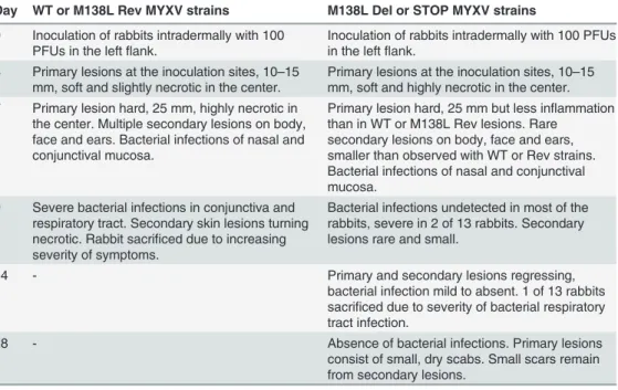 Table 1. Pathogenicity of the M138L knockout strains in the European rabbit.