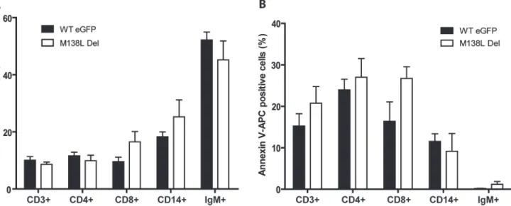 Fig 8. Ex vivo infection of rabbit PBMCs by MYXV eGFP expressing strains. PBMCs were infected with WT eGFP or M138L Del strains