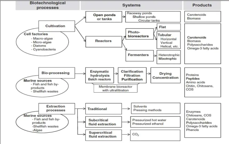 Fig 3: Différentes technologies de valorisation des ressources marines 