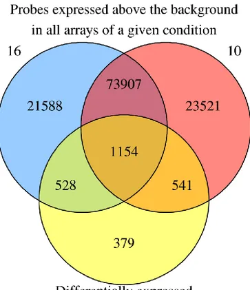 Figure 2.1 - Number of probes above the background in all array of a give condition  The 16 circle represent the probes present in all array of the 16 months of age group  and  the  10  circle  represent  probes  present  in  all  array  of  the  10  month