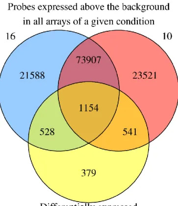 Figure 2.1 - Number of probes above the background in all array of a give condition  The 16 circle represent the probes present in all array of the 16 months of age group  and  the  10  circle  represent  probes  present  in  all  array  of  the  10  month