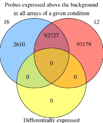 Figure 2.2 - Number of probes above the background in all array of a give condition  The 16 circle represent the probes present in all array of the 16 months of age group  and  the  12  circle  represent  probes  present  in  all  array  of  the  12  month