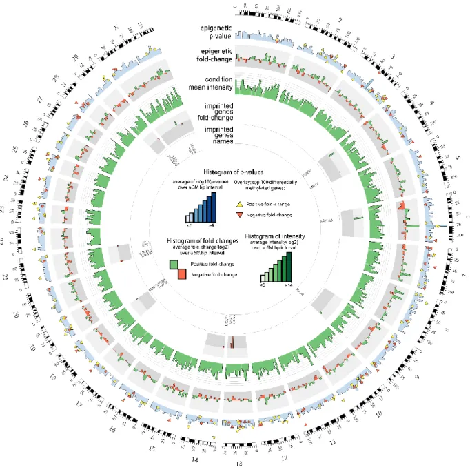 Figure 2.4 - Circular plot of the epigenetic analysis of the comparison of the samples  collected from bulls aged of10 months and the bulls aged of 16 months 