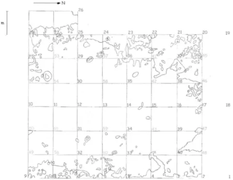 Figure 1 : Répartition des 60 piézomètres sur la partie intacte de la tourbière du Misten