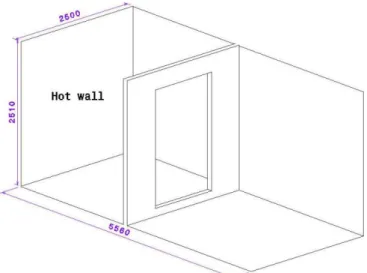 Figure 1. Illustrations of the natural convection case (Tang, 1998). 