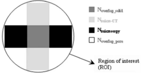 FIG. 3. Simplification of an overlay image where the overlapping solid elements are displayed in dark gray, the noncoinciding solid elements in the microscopic image in black and the noncoinciding solid elements in the micro-CT image in light gray