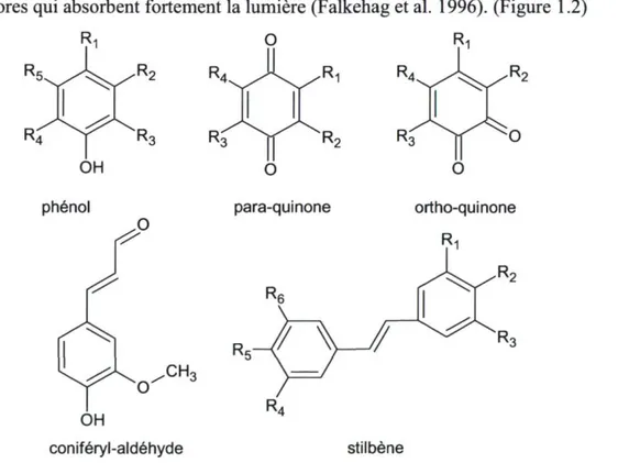 Fig. 1.2 : Quelques exemples de structures de chromophores retrouvés dans le bois. 