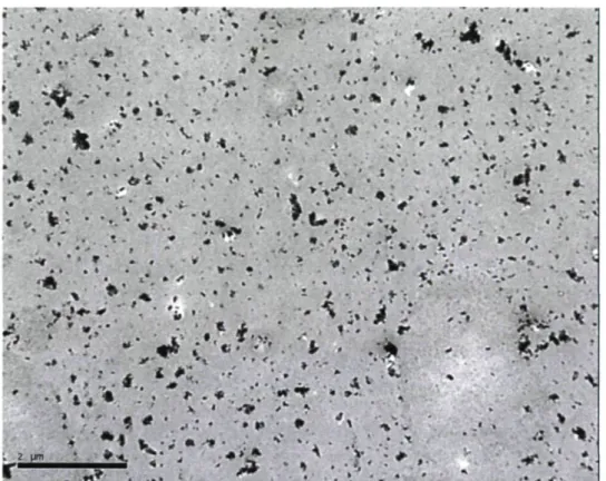 Fig. 2.3: Transmission electron microscopy image of the formulation prepared with  1.44  wt% of ZnO pre­dispersed nanoparticles