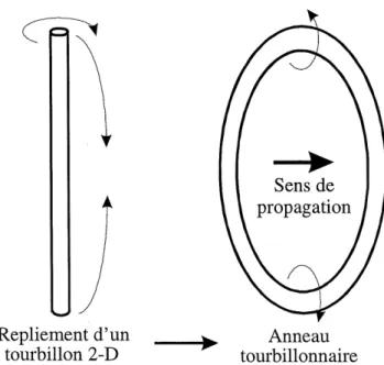Figure 2.2: Geometrie de 1'anneau tourbillonnaire etudie par Moore (1985).
