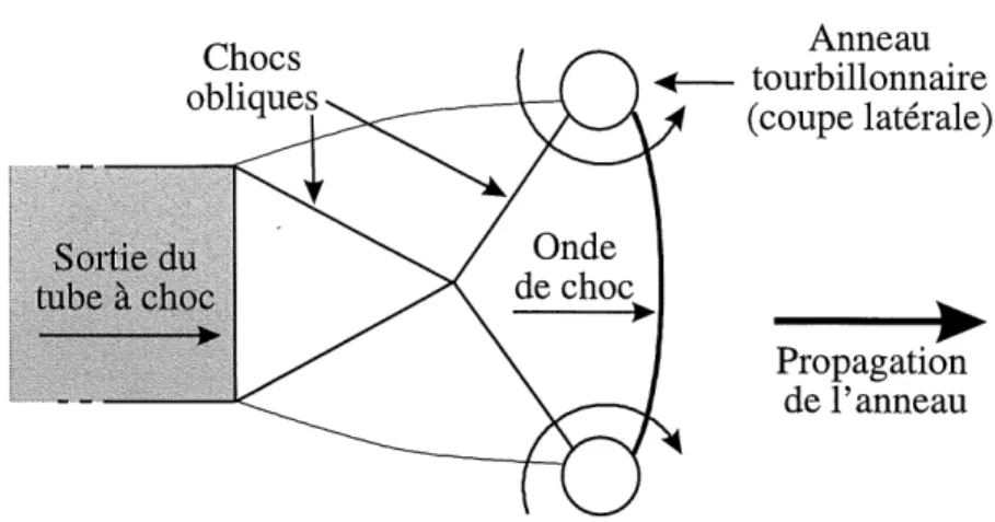 Figure 2.6: Geometrie de 1'ecoulement observe par Baird (1987) (vue de cote).