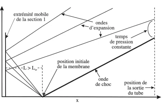 Figure 4.2: Diagramme position-temps du tube a choc pour L &gt; Lcr.