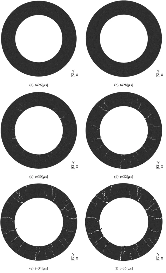 Fig. 12 Fragmentation process of the plate ring with a Weibull modulus m = 5. Results are in agreement with Zhou and Molinari (2004a)