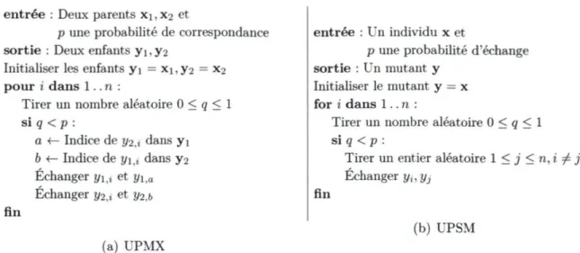 FIGURE  2.8 - Pseudo-code des opérateurs de croisement et mutation. 