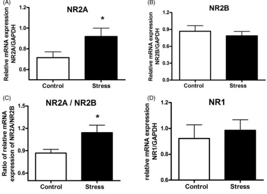 Figure 3. Hippocampal expression of mRNAs for N-methyl- D -aspartate receptor (NMDAR) subunits in stressed mice