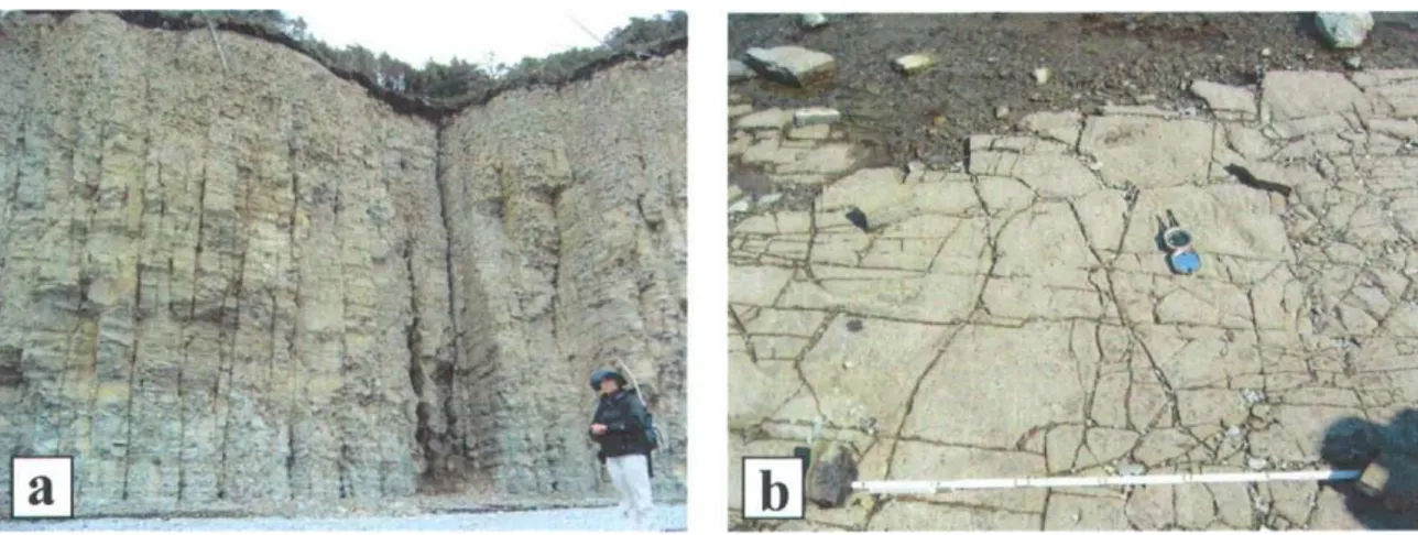 Figure 6: Systèmes de fractures dans les calcaires. (a) Vue en coupe (Formation de  Jupiter, Jupiter de la Mer, Île d’Anticosti; (b) Vue en plan (Formation Vauréal, Baie 
